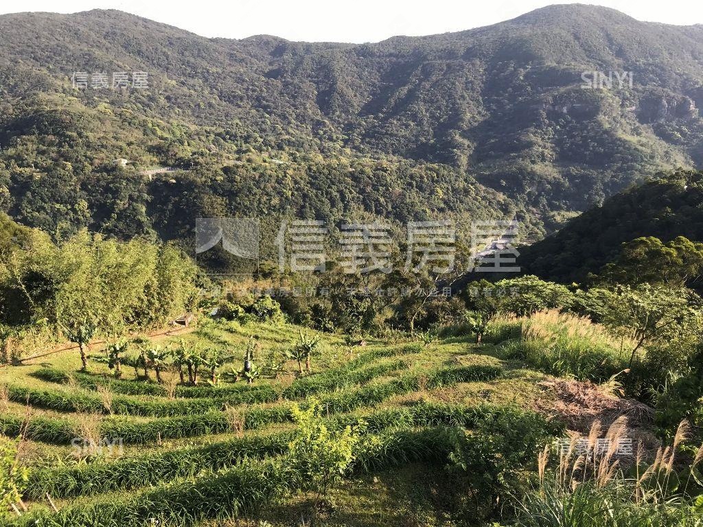 近公車站陽明山稀有土地房屋室內格局與周邊環境