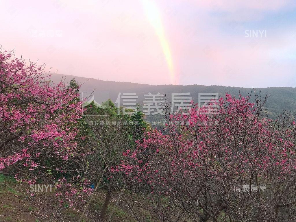 近公車站陽明山稀有土地房屋室內格局與周邊環境