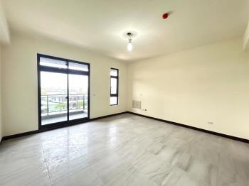 埔頂首席電梯店墅Ａ１