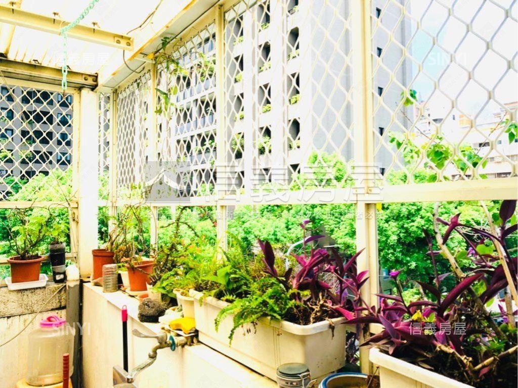 近科博館大面寬裝潢透天房屋室內格局與周邊環境