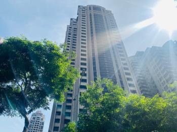 親家雲硯１１Ｅ歡迎鑑賞