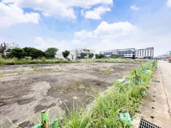 龍潭方正工業區丁建