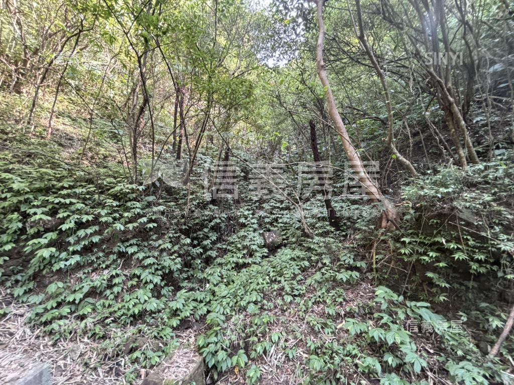 石碇林業用地房屋室內格局與周邊環境