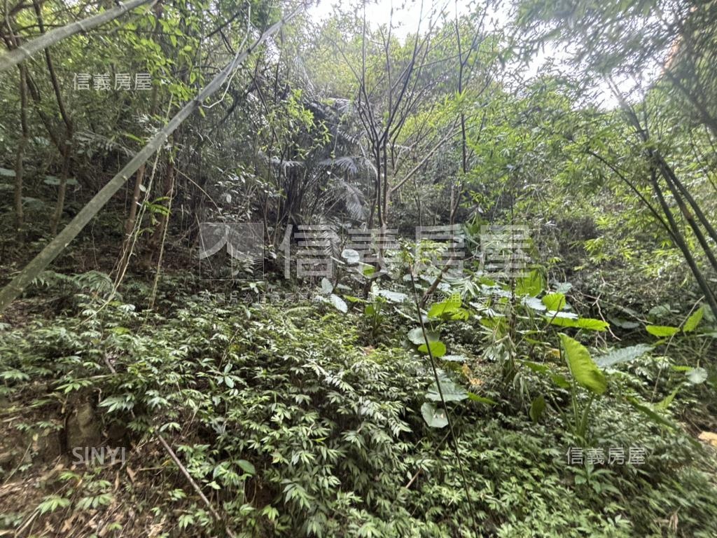 石碇林業用地房屋室內格局與周邊環境