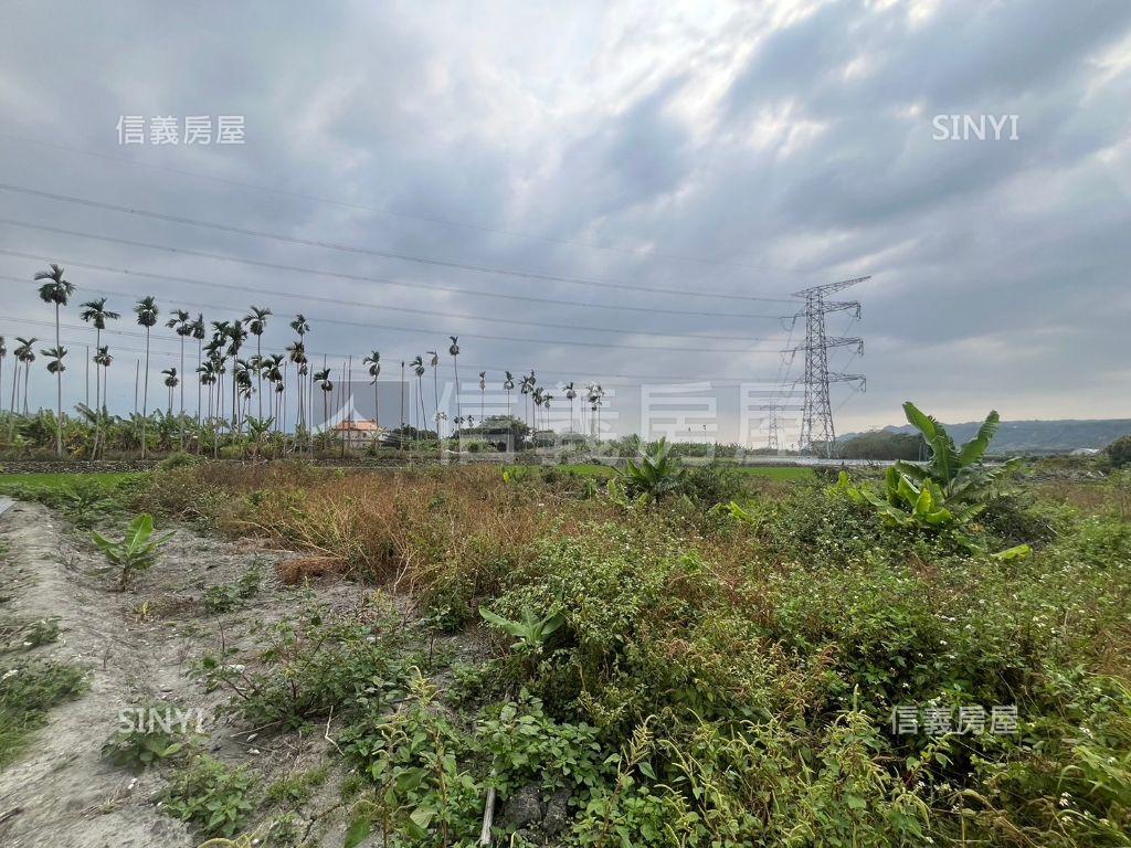 ☆南投集集濁水車站農地☆房屋室內格局與周邊環境