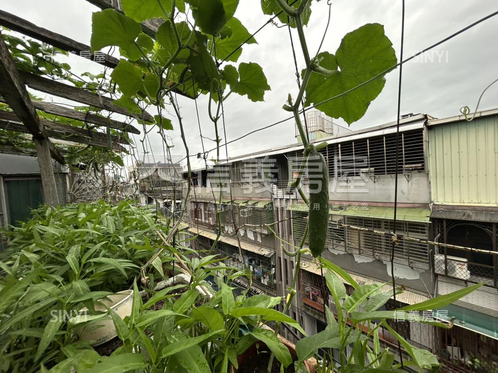 漫步空中花園方正美寓房屋室內格局與周邊環境