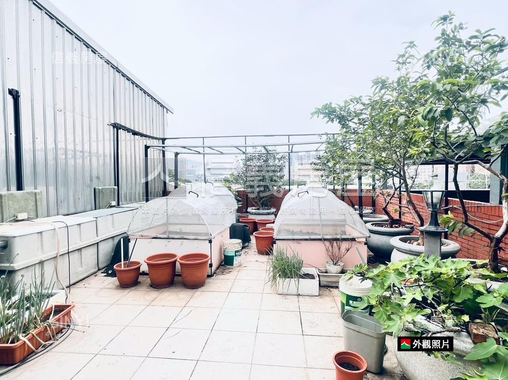 樹林連鎖收租透天房屋室內格局與周邊環境