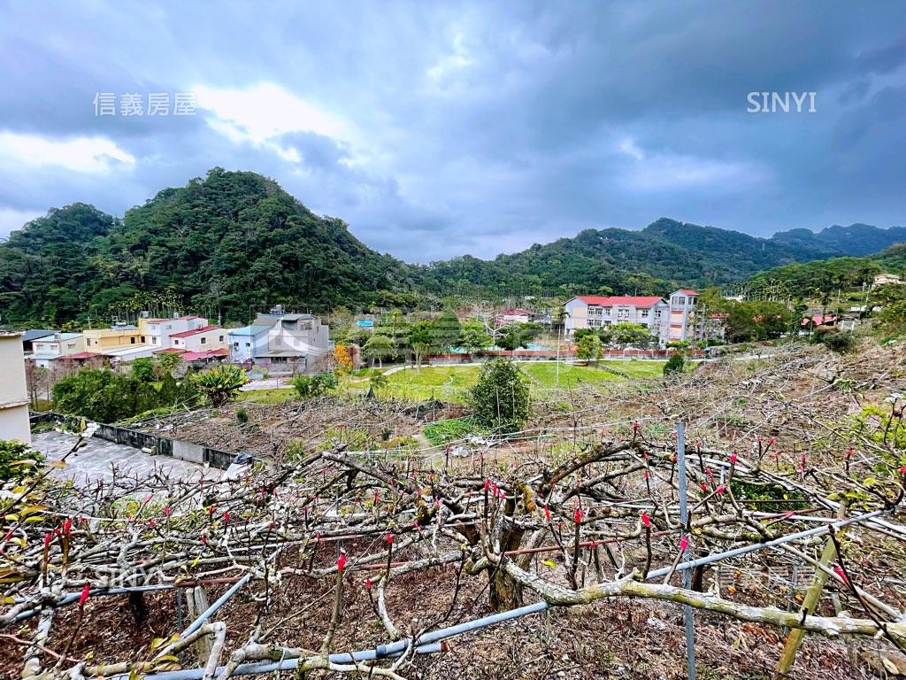 欣欣向榮！誠售新社美地房屋室內格局與周邊環境