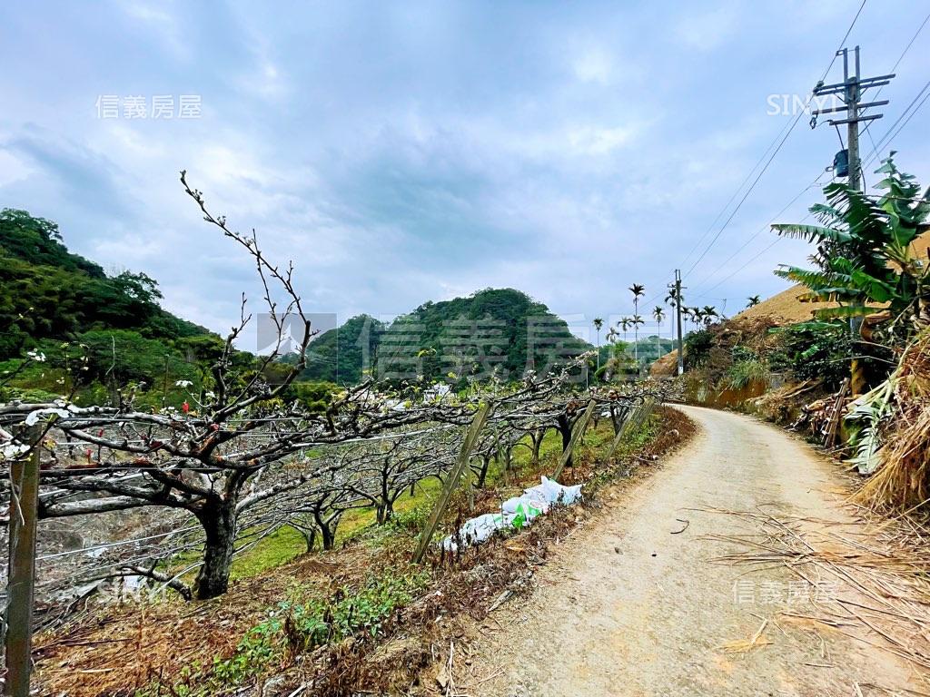 欣欣向榮！誠售新社美地房屋室內格局與周邊環境