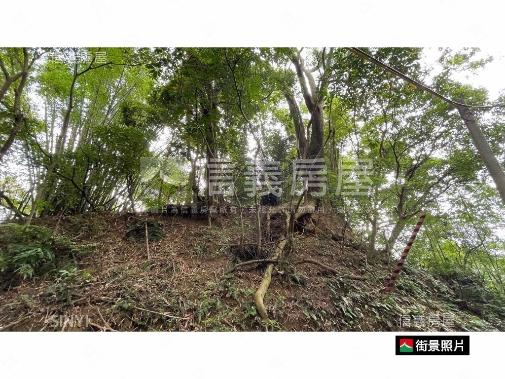 三峽農牧保安地含臨路丙建房屋室內格局與周邊環境
