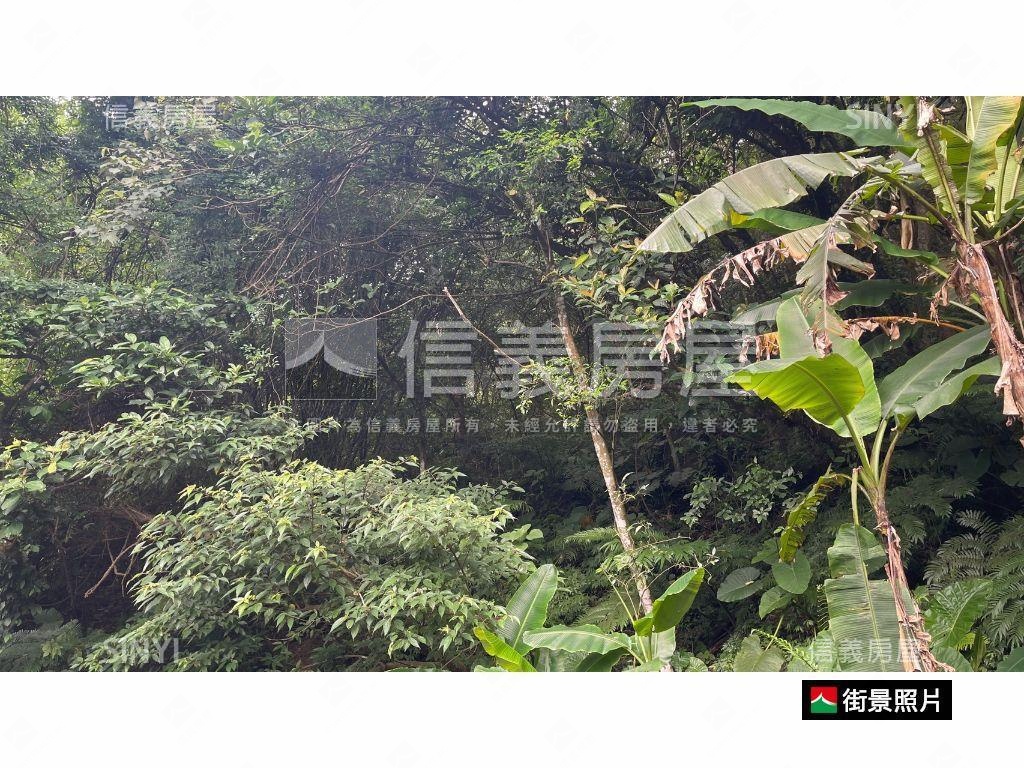 三峽農牧保安地含臨路丙建房屋室內格局與周邊環境