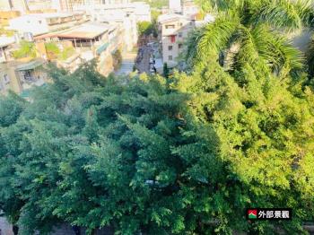 面校園景觀方正３房