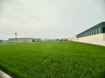 和美８８０坪臨路方正農地