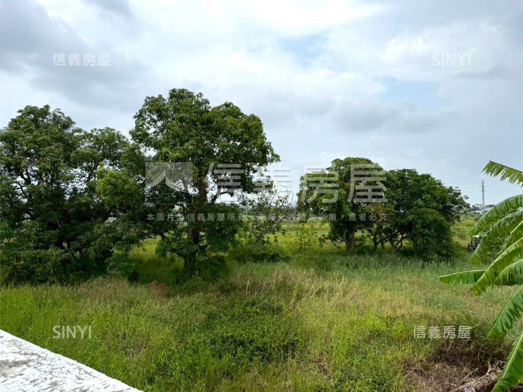 仁德德糖路二王段農地房屋室內格局與周邊環境