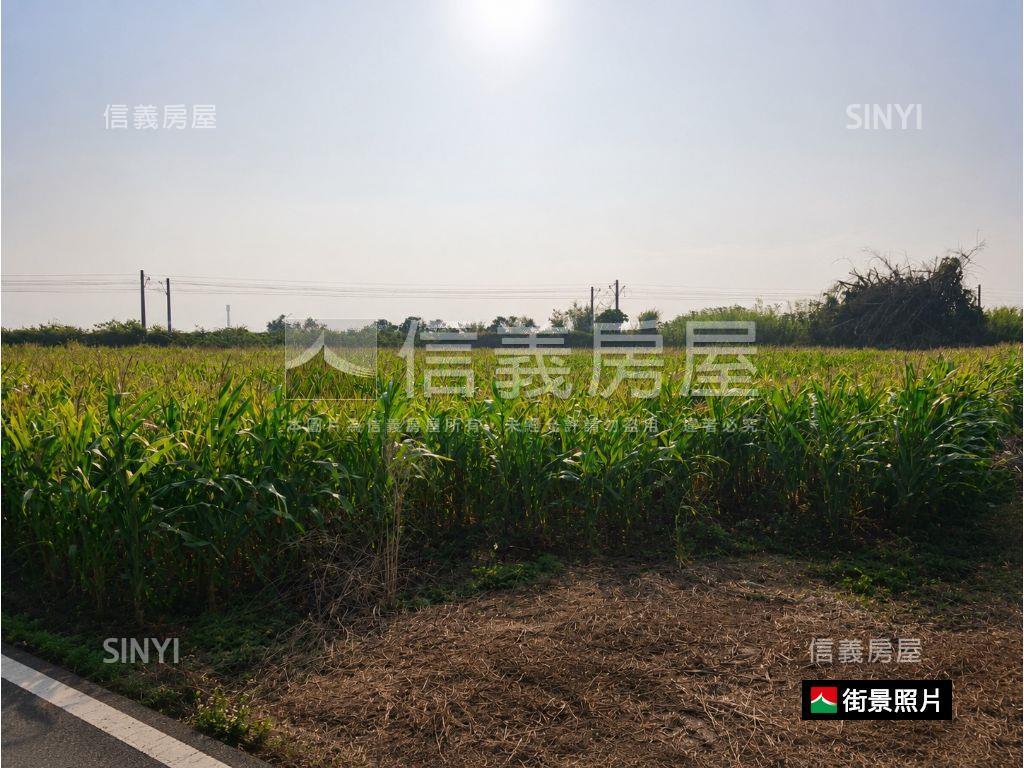後壁鐵道美景約３分農地房屋室內格局與周邊環境