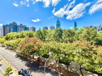 【新接】計劃區面公園樹海