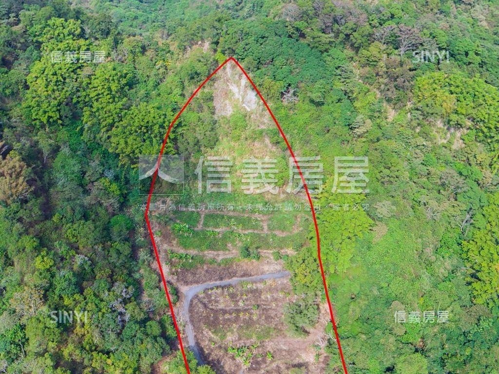 長龍路約一甲平坦農地讚房屋室內格局與周邊環境