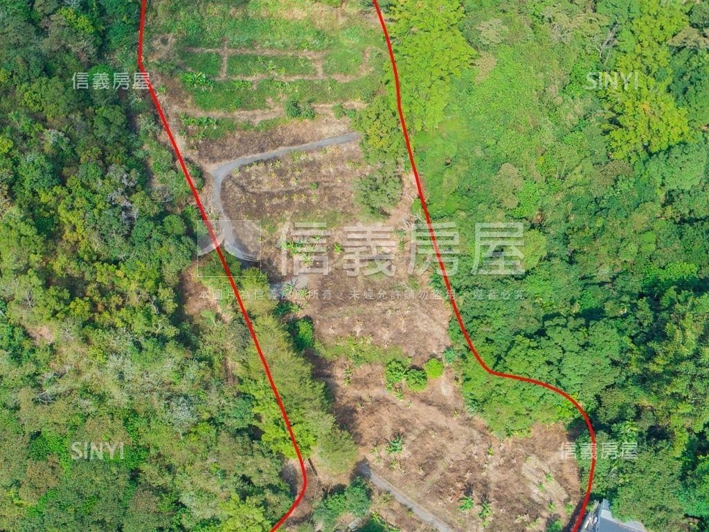 長龍路約一甲平坦農地讚房屋室內格局與周邊環境