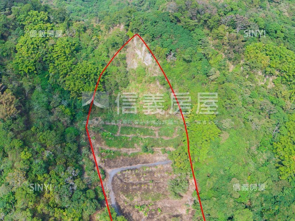 長龍路約一甲平坦農地讚房屋室內格局與周邊環境