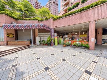 商用百坪河堤面寬店面