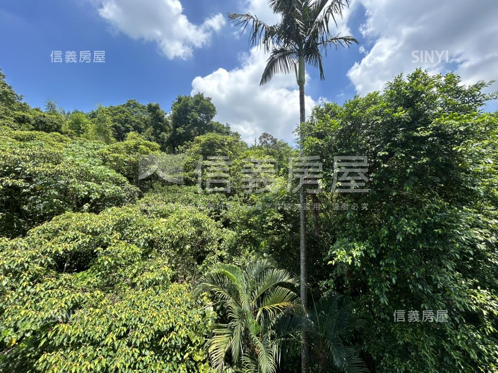 Ｙ３９★近公園低總價三房房屋室內格局與周邊環境