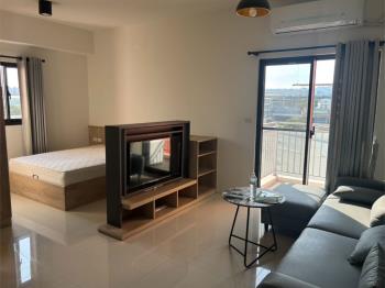 市政Ａ＋Ａ精美一房