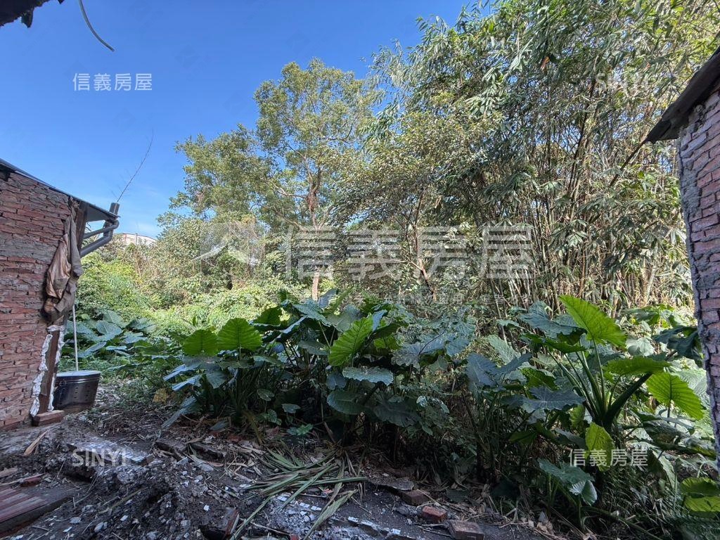 近龍岡千萬內透天房屋室內格局與周邊環境