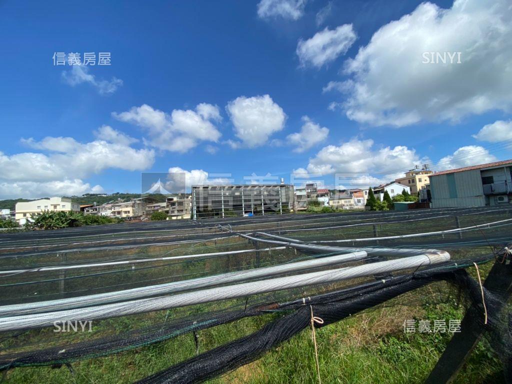 新社方正大面寬土地２房屋室內格局與周邊環境