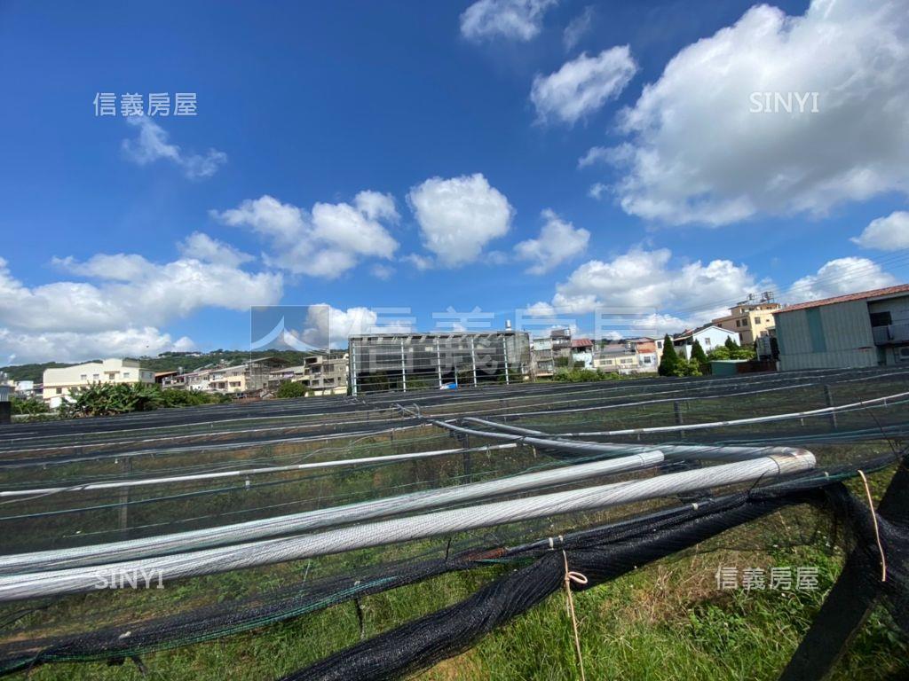 新社方正大面寬土地２房屋室內格局與周邊環境