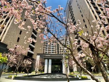 近未來捷運高樓三房車位