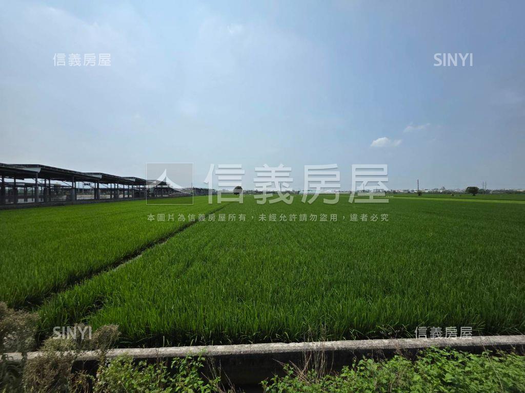 雲林大北勢段土地房屋室內格局與周邊環境