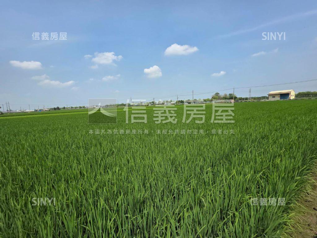 雲林大北勢段土地房屋室內格局與周邊環境