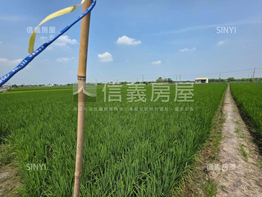 雲林大北勢段土地房屋室內格局與周邊環境