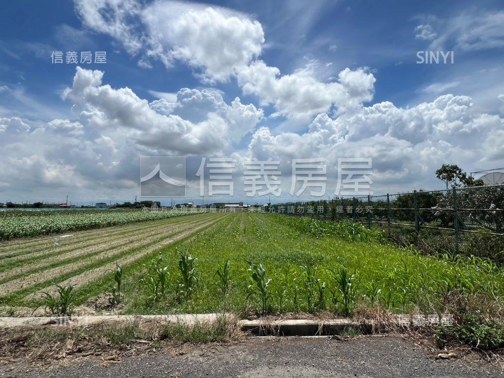 學甲臨路開心農場房屋室內格局與周邊環境