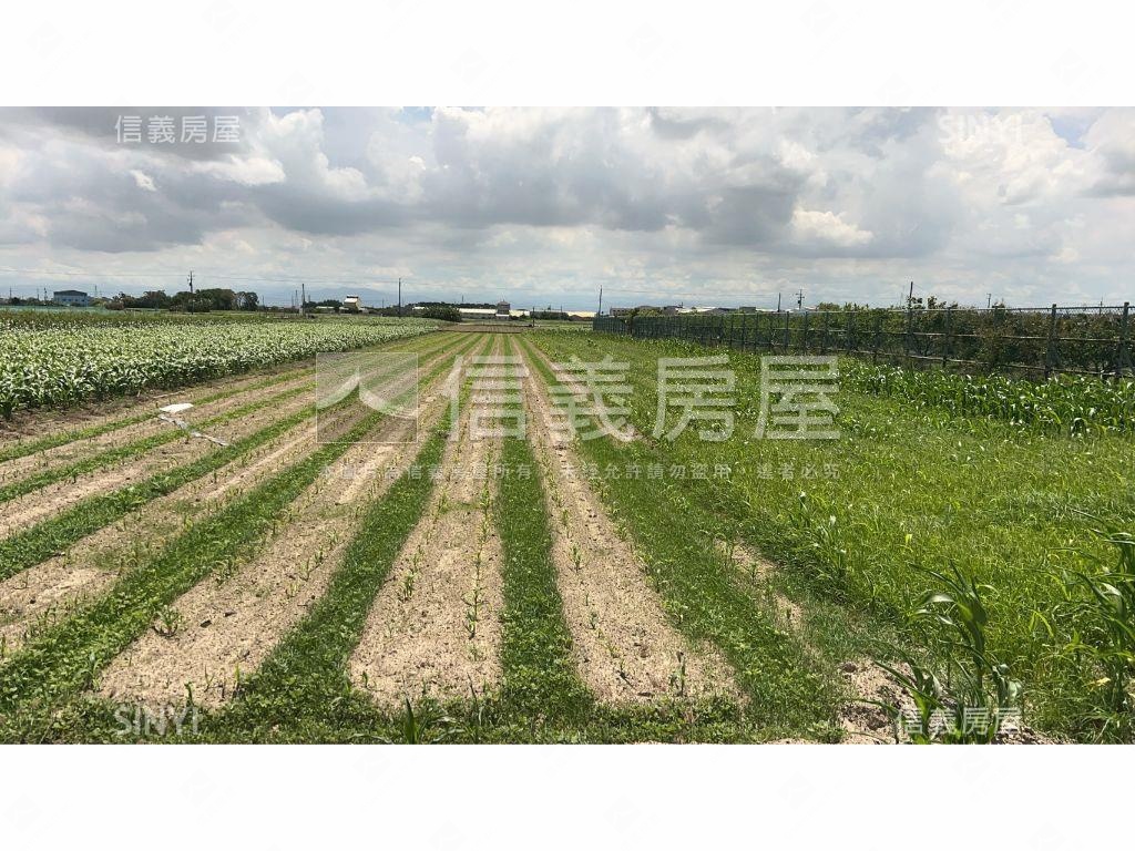 學甲臨路開心農場房屋室內格局與周邊環境