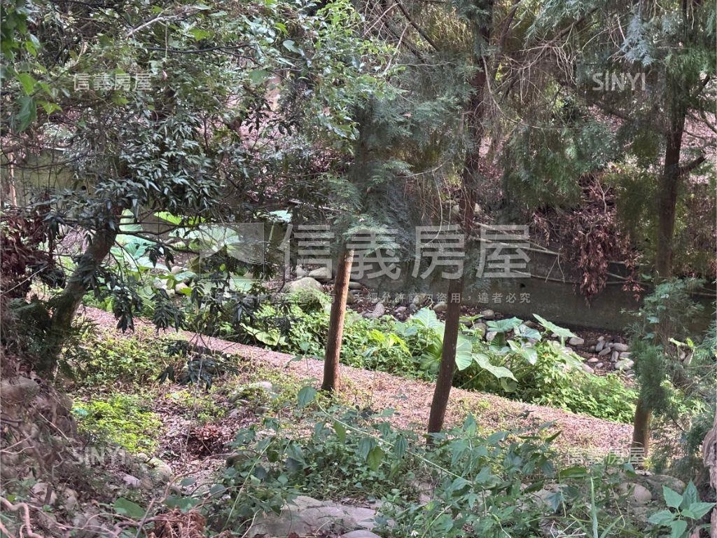北屯十期千坪農地房屋室內格局與周邊環境
