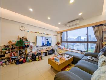 源峰淳境高樓採光美屋