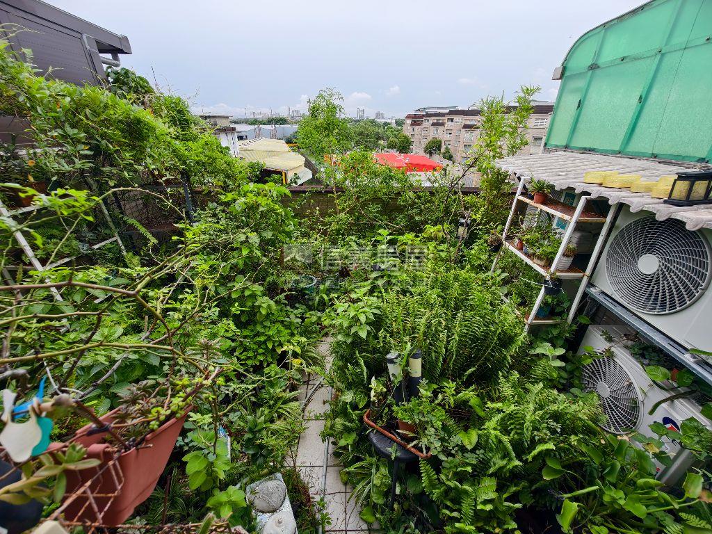 都市＊綠洲別墅房屋室內格局與周邊環境