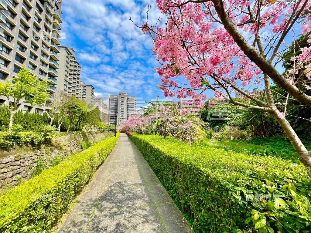 中山北路機能２房公寓房屋室內格局與周邊環境