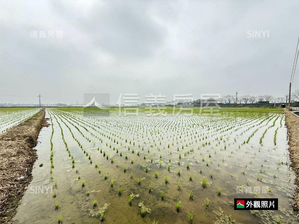 後壁特農地3300M平方房屋室內格局與周邊環境