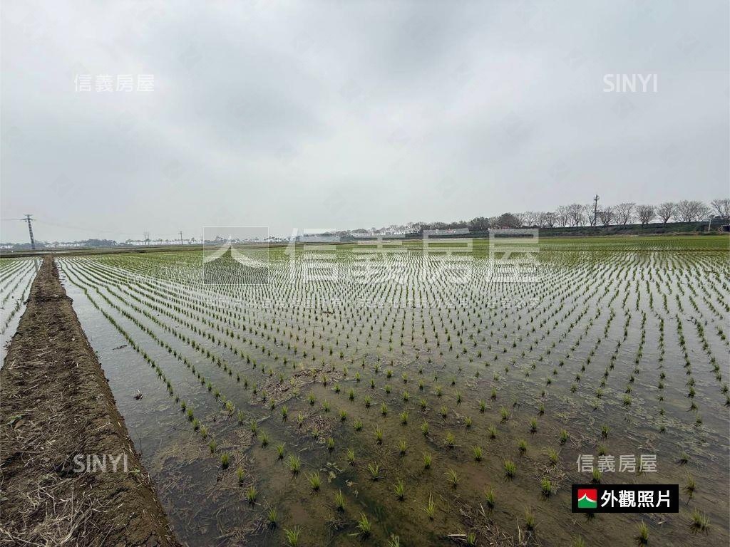 後壁特農地3300M平方房屋室內格局與周邊環境