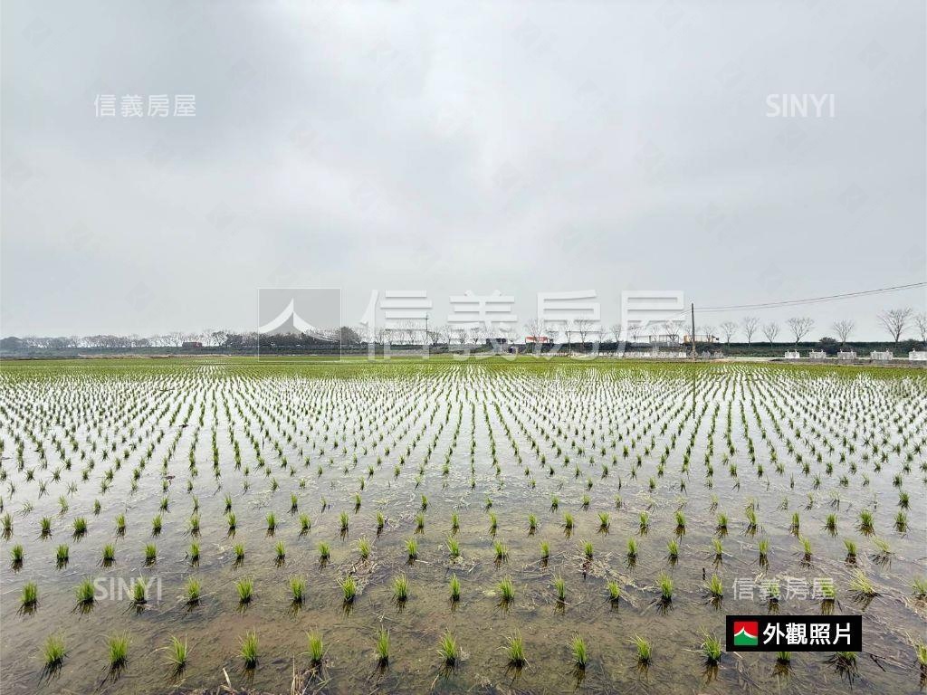 後壁特農地3300M平方房屋室內格局與周邊環境
