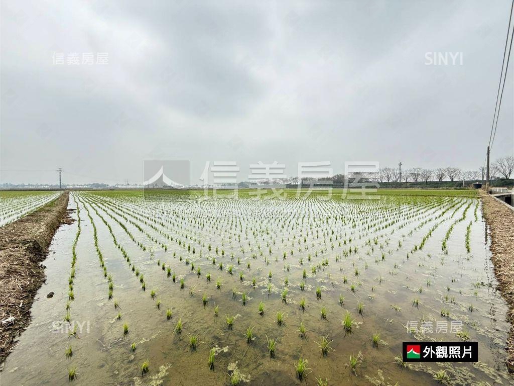 後壁特農地3300M平方房屋室內格局與周邊環境