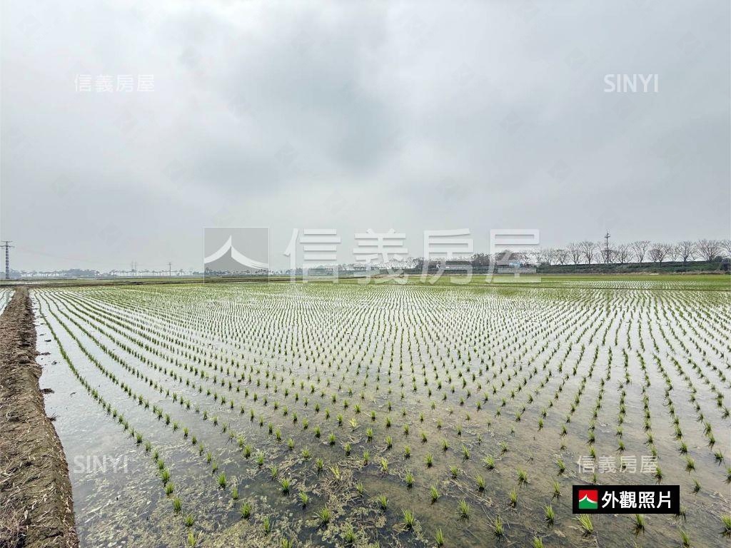後壁特農地3300M平方房屋室內格局與周邊環境