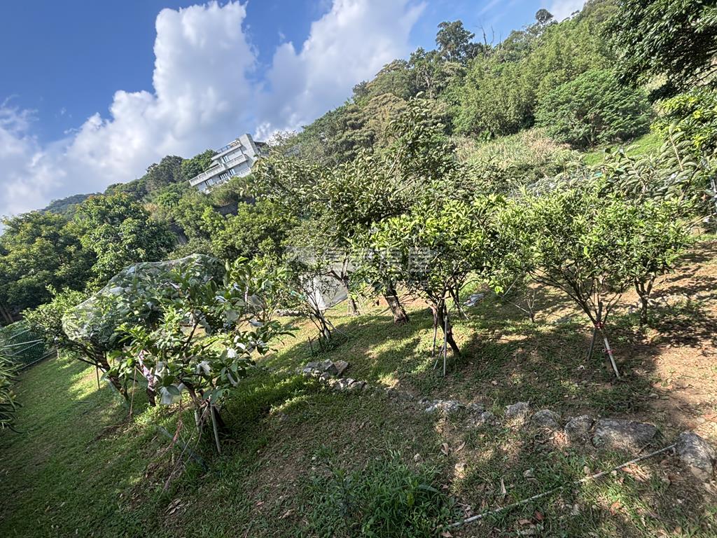 陽明山車達合法資材室農地房屋室內格局與周邊環境