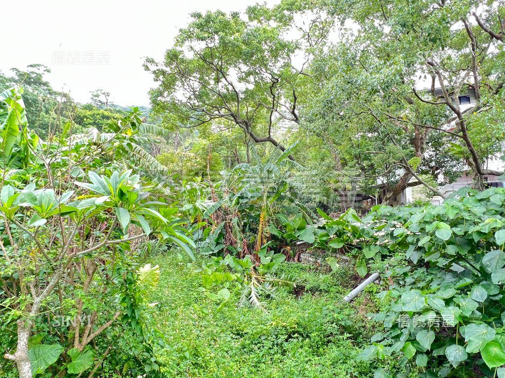 淡水樹梅坑農牧土地房屋室內格局與周邊環境