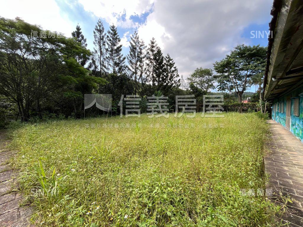 老樹聽蟬聲綠水人家繞房屋室內格局與周邊環境