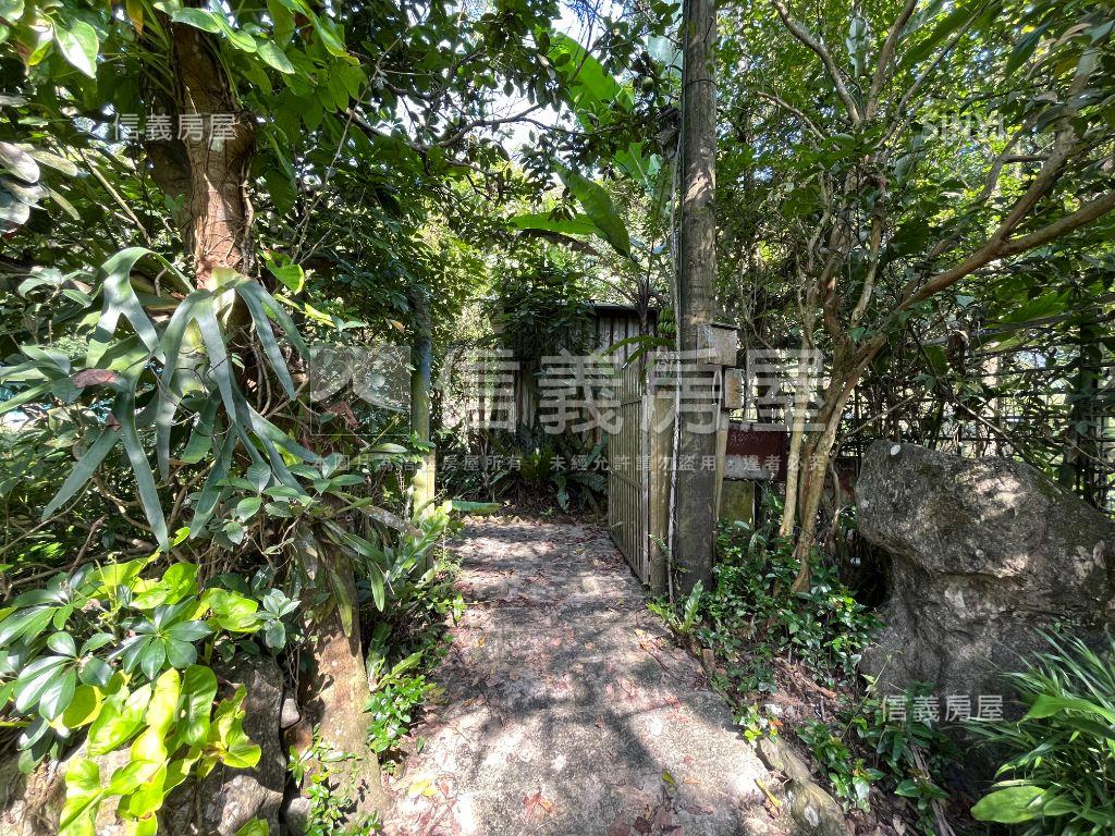 老樹聽蟬聲綠水人家繞房屋室內格局與周邊環境