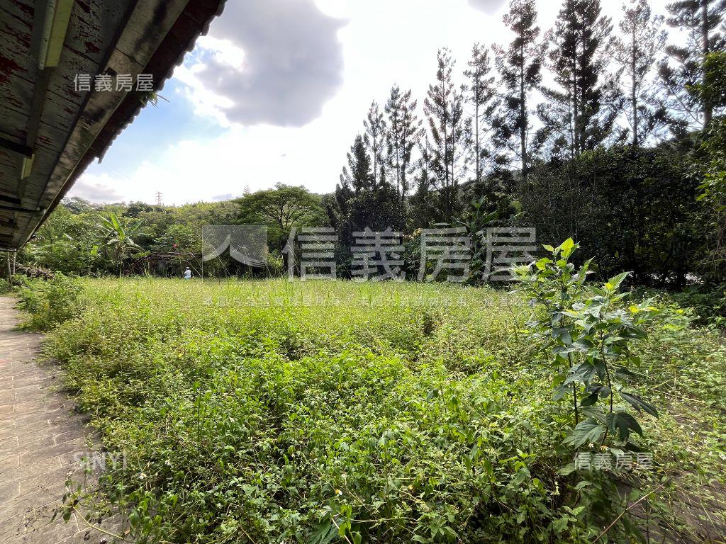 老樹聽蟬聲綠水人家繞房屋室內格局與周邊環境