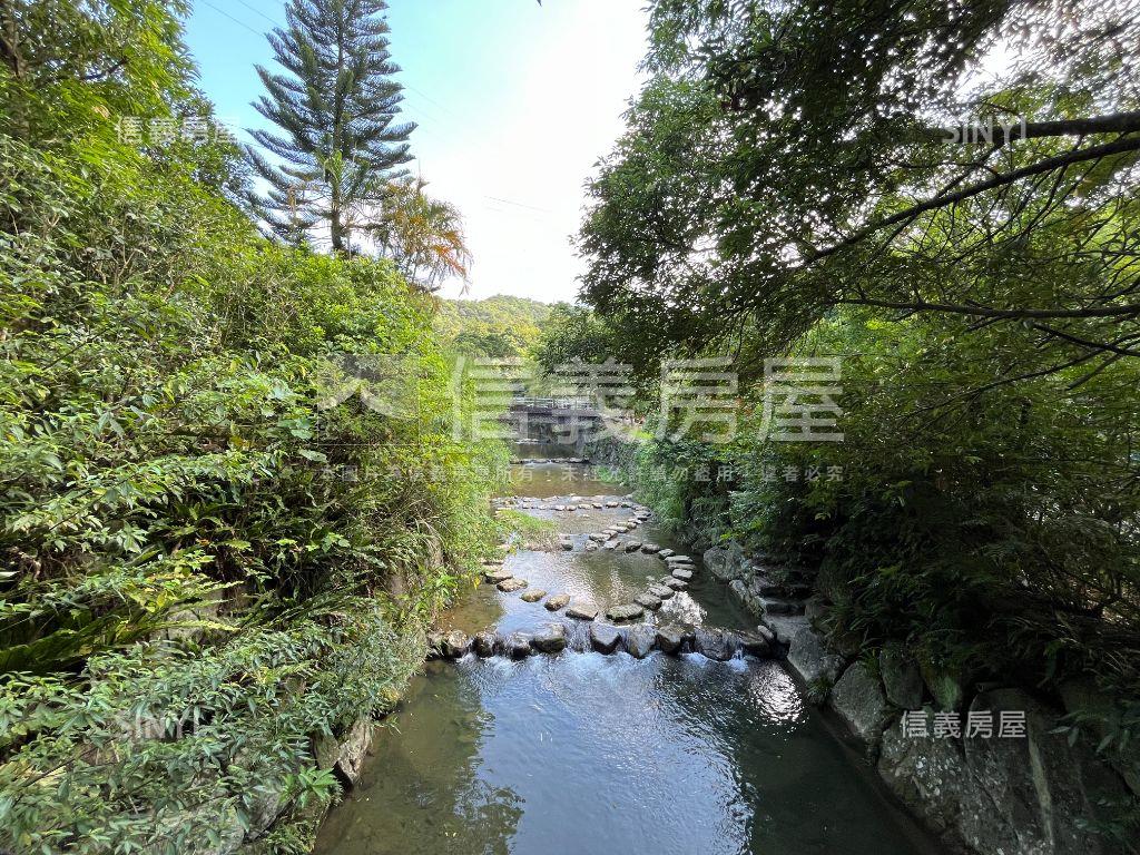 老樹聽蟬聲綠水人家繞房屋室內格局與周邊環境